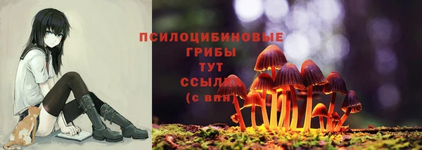 шишки Алзамай