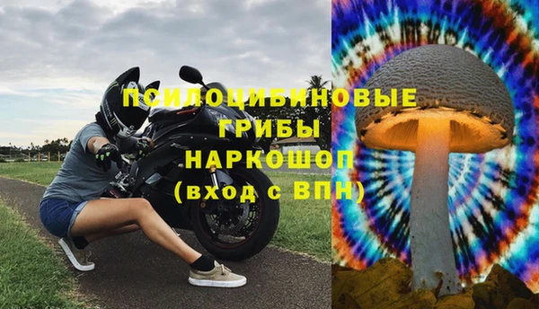 метадон Алексин