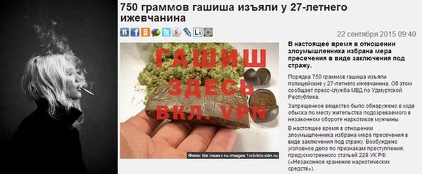 шишки Алзамай